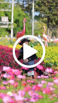 BIB:  <button type="button" onclick="openModal(27583790)" class="btn btn-primary btn-sm float-right" data-toggle="modal" data-target=".modal-high-quality">
                <i class="fa fa-download"></i> Download
                </button>